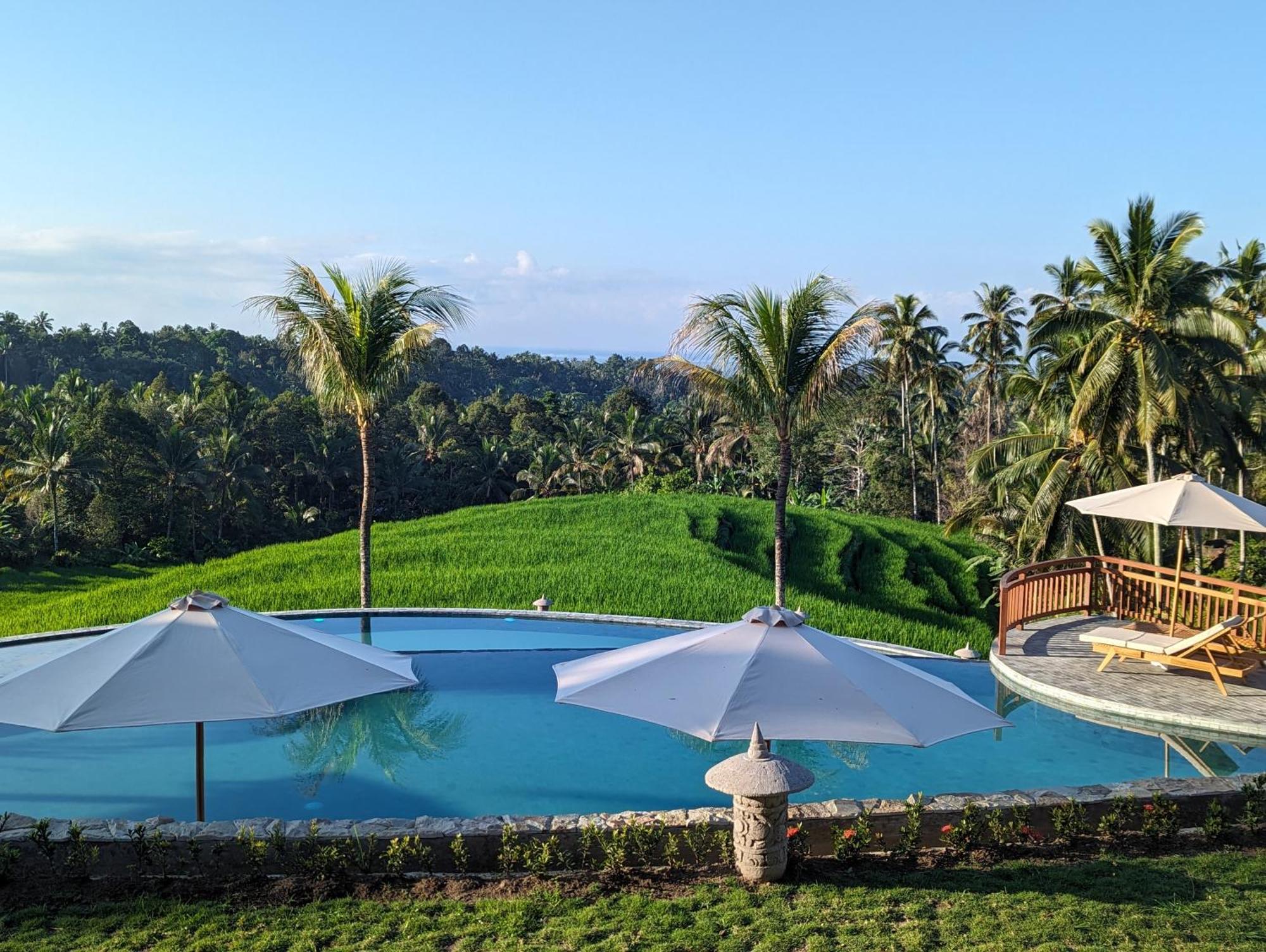Puri Dajuma Terrace Eco Lodge & Spa Selemadeg  Exterior photo