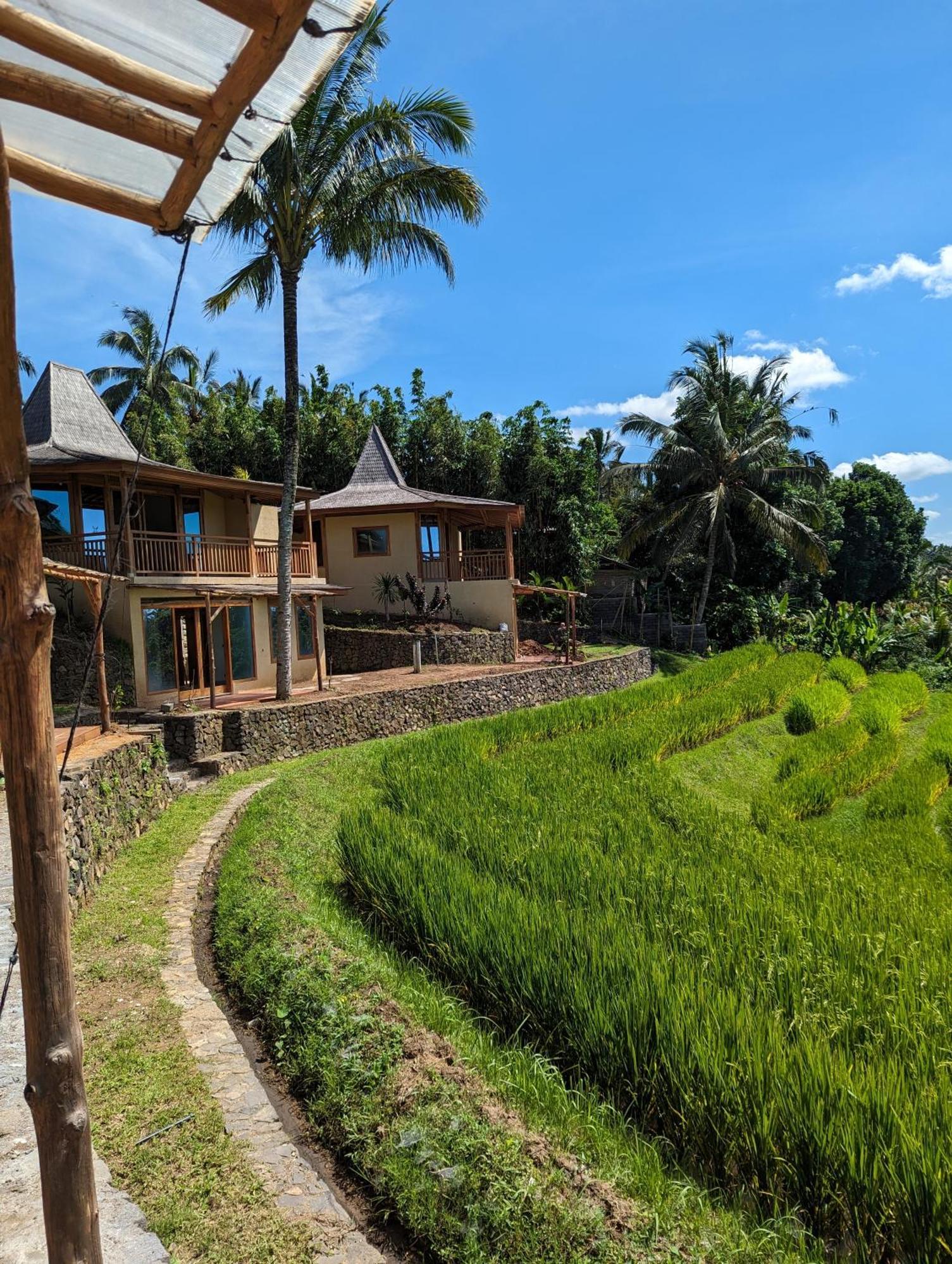 Puri Dajuma Terrace Eco Lodge & Spa Selemadeg  Exterior photo